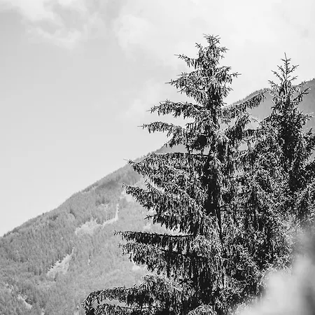 Christine דירה Aschau Im Zillertal