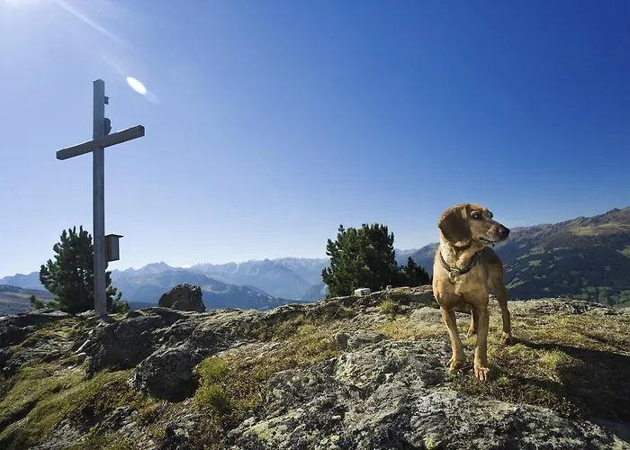 Christine Apartamento