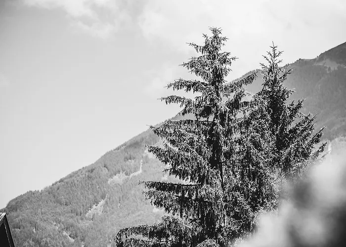 Christine Apartamento Aschau Im Zillertal