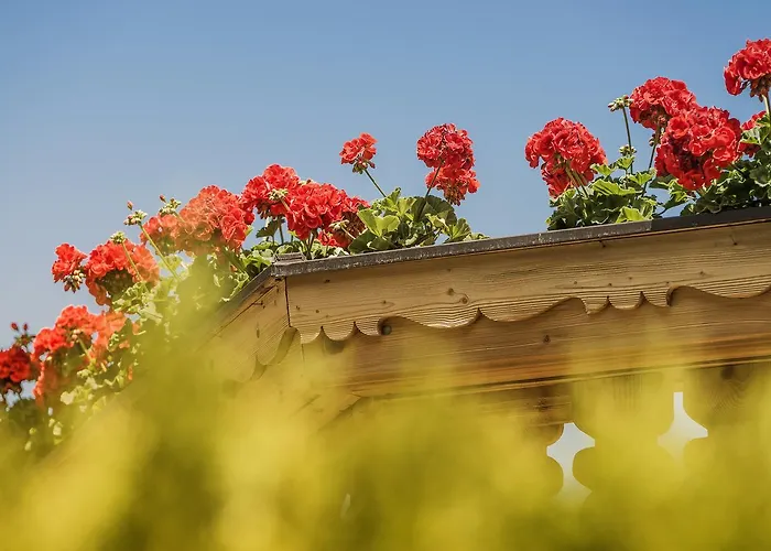 Apartamento Christine